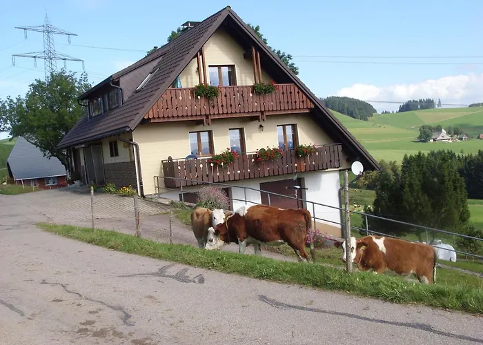 Dürrenbartleshof * Breitnau